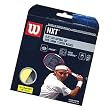 Wilson NXT Tennis Racquet String (16 Gauge)