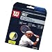 Wilson NXT Tennis Racquet String (16 Gauge)