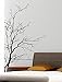 Stickerbrand© Nature Vinyl Wall Art Bare Tree Branch Wall Decal Sticker - Black, 60