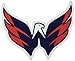 Fremont Die NHL Washington Capitals Vinyl Team Logo Magnet, 12