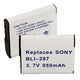 Sony DSC20P Replacement Video Battery