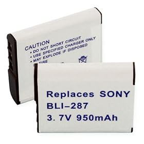 Rayovac RAYBG1 Replacement Video Battery