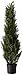 Nearly Natural 5172 Cedar Silk Tree, 4-Feet, Green