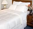 Newpoint Organic Cotton King Comforter with Organic Cotton Fiber Fill