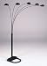 ORE International 6962BK 5 Arm Arch Floor Lamp, Black