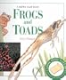 Frogs and Toads (Look Into Nature)