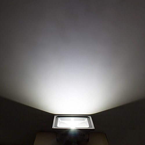 Imagen 3 de DeliaWinterfel 0