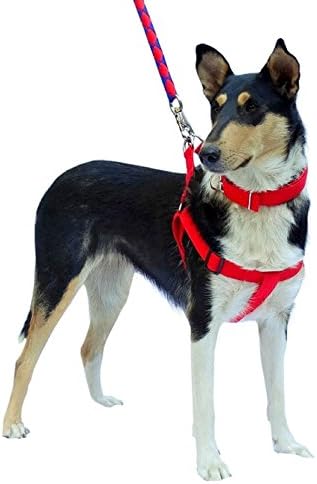 Dog Leash Harness Collar 3 Piece + 10 Training Tips by Aspen Innovations. Heavy Duty Set. Small, Medium, Large, X-Large Dog. Perfect for Walking, Running, Training (X-Large, Blue/Red)