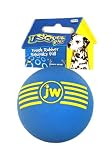 JW Pet Company iSqueak Ball Rubber Dog Toy, Medium, Colors Vary