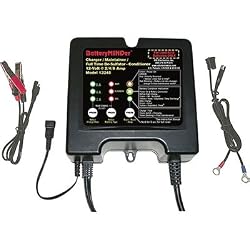 BatteryMINDer Battery Charger / Maintainer with Desulphator - 12 Volt 2/4/8 Amp, Model# 12248