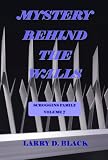 Mystery Behind The Walls (Scroggins Family Series)