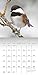 Songbirds 2017 Calendar: Includes Downloadable Wallpaper