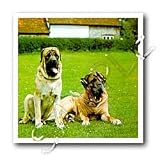 Dogs Mastiff - Mastiff - Iron on Heat Transfers