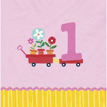 Baby Girls 1st Birthday Napkins 16ct