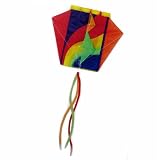 Go Fly A Kite Light Pocket Parafoil Kite