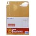 LePage's Clasp Envelopes, 10 x 13 Inch, 15 pack (GLD11524)