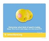 Determine what kind of seed is inside Motivational Photographic Poster Print by Corrine Ellsworth, 20x16