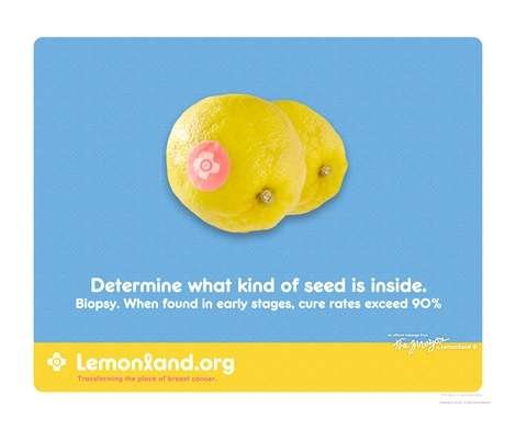 Determine what kind of seed is inside Motivational Photographic Poster Print by Corrine Ellsworth, 20x16