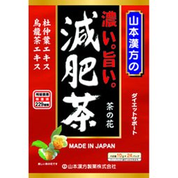 濃い減肥茶 10g×24包