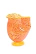 Bird Pitcher