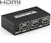 deleyCON HDMI Splitter 2 Port - 3D Ready / 1080p - für 2 Bildschirme [1 auf 2]