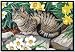 turkish van - Tabby's Garden Gray Tabby Cat Kitten Doormat Mat Rug