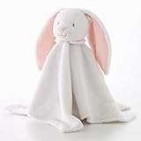 Knowing God: Walking through the Book of Books