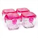 Glass Baby Food Containers with Raspberry Lid