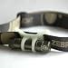 Zebralight H50 Q5 High Performance LED Flashlight