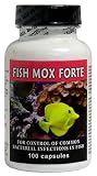 41Eh9z6N0dL. SL160  Fish Mox Forte