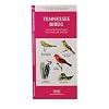 Tennessee Birds: An Introduction to Familiar Species (State Nature Guides)