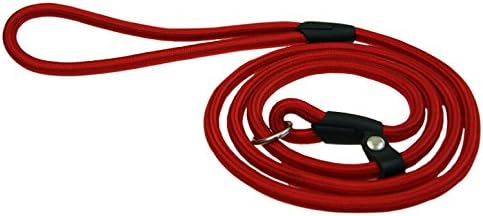 AZPet Durable Dog Rope Leash for Small Medium Dog, Premium Quality Mountain Climbing Dog Rope Lead, 5-feet - Red