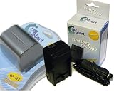 UpStart Battery BP-422 BP-406 BP-407 BP-412 Replacement Batttery and AC/DC Dual Charger Kit for Canon Camcorders