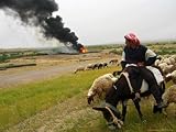 A Shepherd Watches as Oil Burns from Damaged Oil Infrastructure Associated Press Collection Photographic Poster Print, 24x18