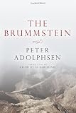 The Brummstein