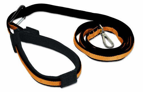 Kurgo Quantum Dog Leash