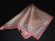 Small Scarf 22'' Mayan Writings in Peach