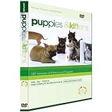 Puppies and Kittens