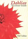 Dahlias: A Colour Guide