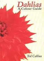 Dahlias: A Colour Guide