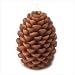 Pine Cone Candle