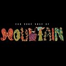 The Very Best Of Mountain