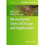 mesenchymal stem cell assays and applications methods in molecular biology