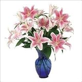 Oriental Lilies Fresh Flowers Arrangement - B001PH59LW