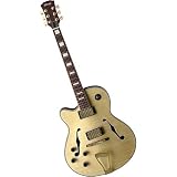 Hollow Body Electric Guitars