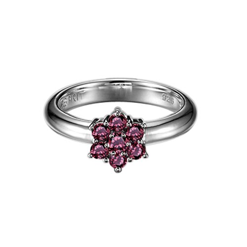 Esprit Damen-Ring prelude berry 925 Sterlingsilber Gr.60 ESRG91485D190 Preisvergleich