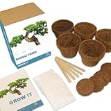 Gift Republic Grow It. Grow Your Own Bonsai Trees