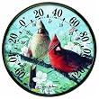 Chaney Instrument 01597 Cardinal Thermometer