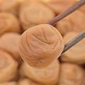 訳あり紀州産南高梅（はちみつ梅干し）１Ｋｇ