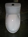 One Piece Dual Flush Toilet